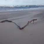 Szarga לוביאטובו