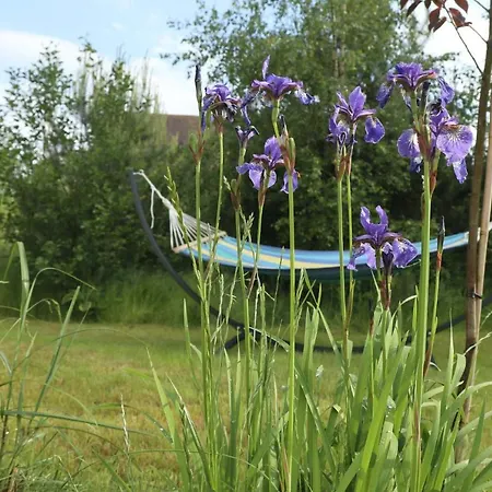 Szarga Holiday home Lubiatowo (Pomerania)