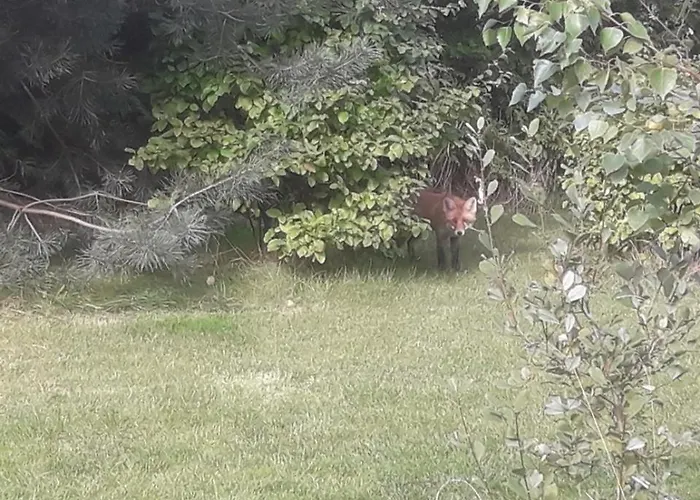 Szarga Semesterbostad Lubiatowo (Pomerania)