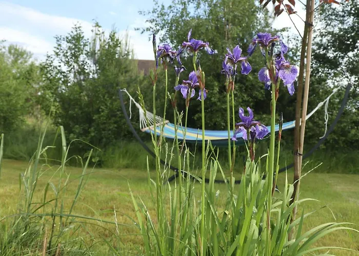 Szarga Semesterbostad Lubiatowo (Pomerania)